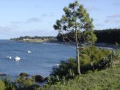Vue sur mer l'hiver