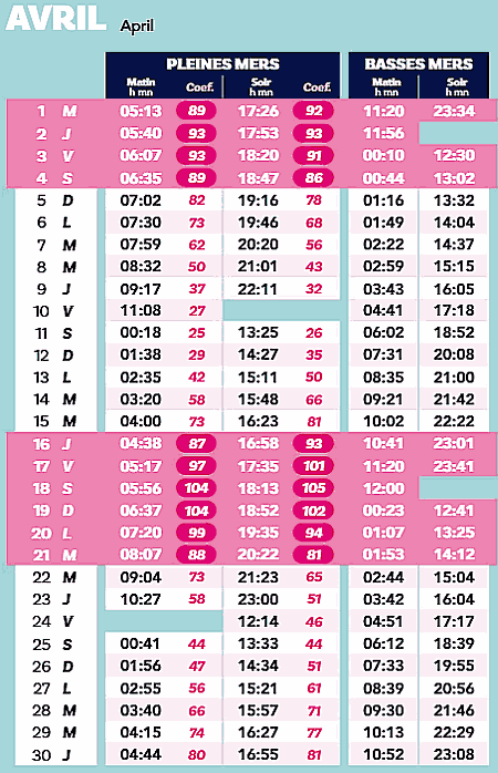 calendrier 2026 avril marée ile yeu