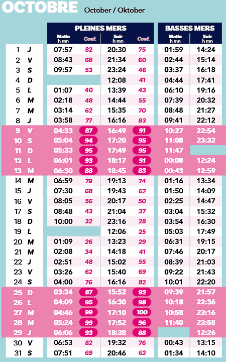 calendrier 2026 octobre marée ile yeu
