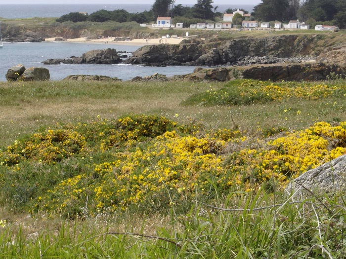 Plage des Sabias - Ile d'Yeu