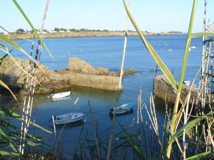 Petit port des Vieilles - Ile d'Yeu