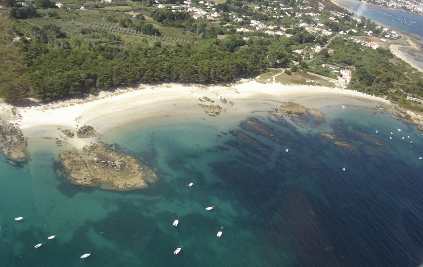 Plage Des Sapins Ile Dyeu Son Sable Fin Et Coiffée De Résineux