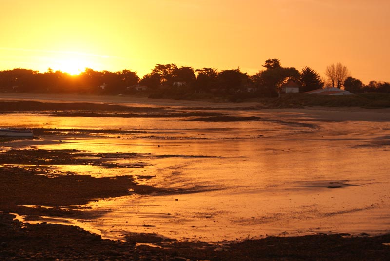 Vue matin plage de Ker Chalon - Ile d'Yeu