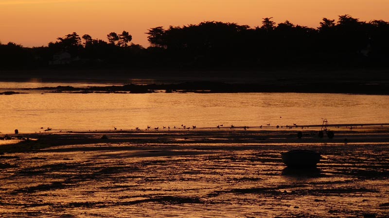 Vue soir plage de Ker Chalon - Ile d'Yeu