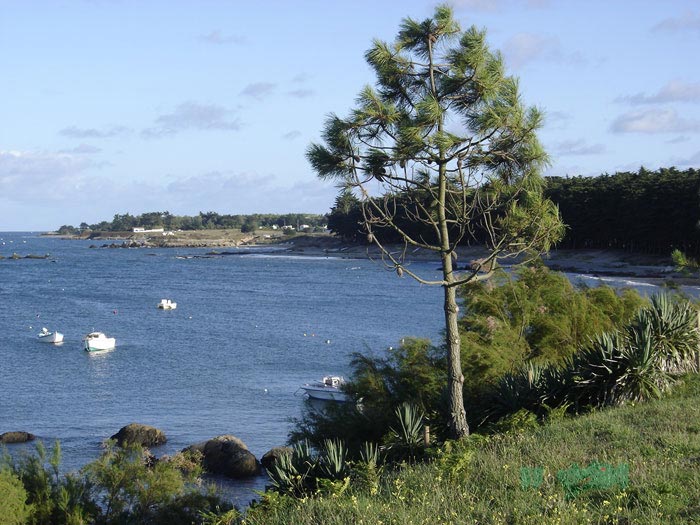 Plage des Sapins - Ile d Yeu